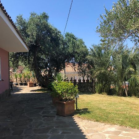 Residence Serrone Santa Maria di Castellabate Zewnętrze zdjęcie