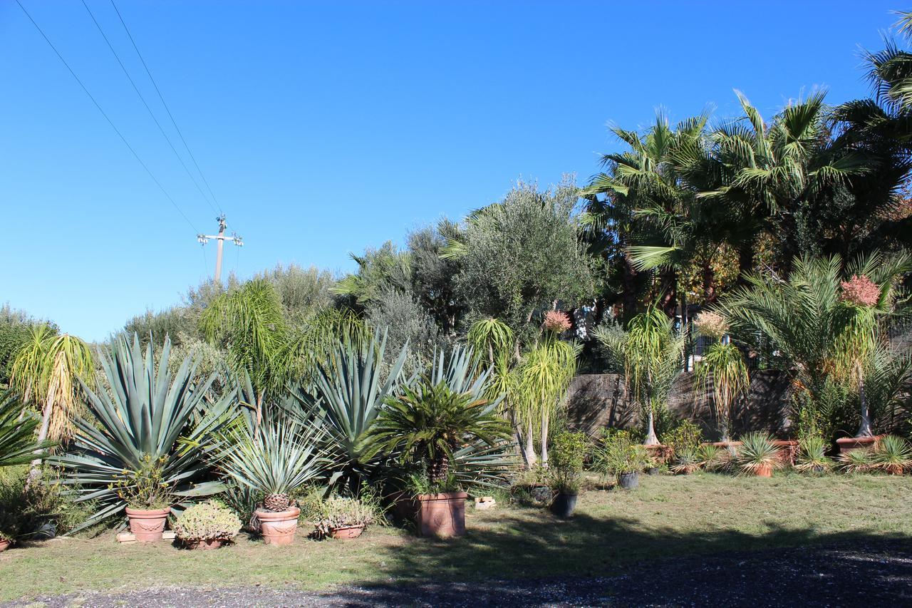 Residence Serrone San Marco di Castellabate Zewnętrze zdjęcie