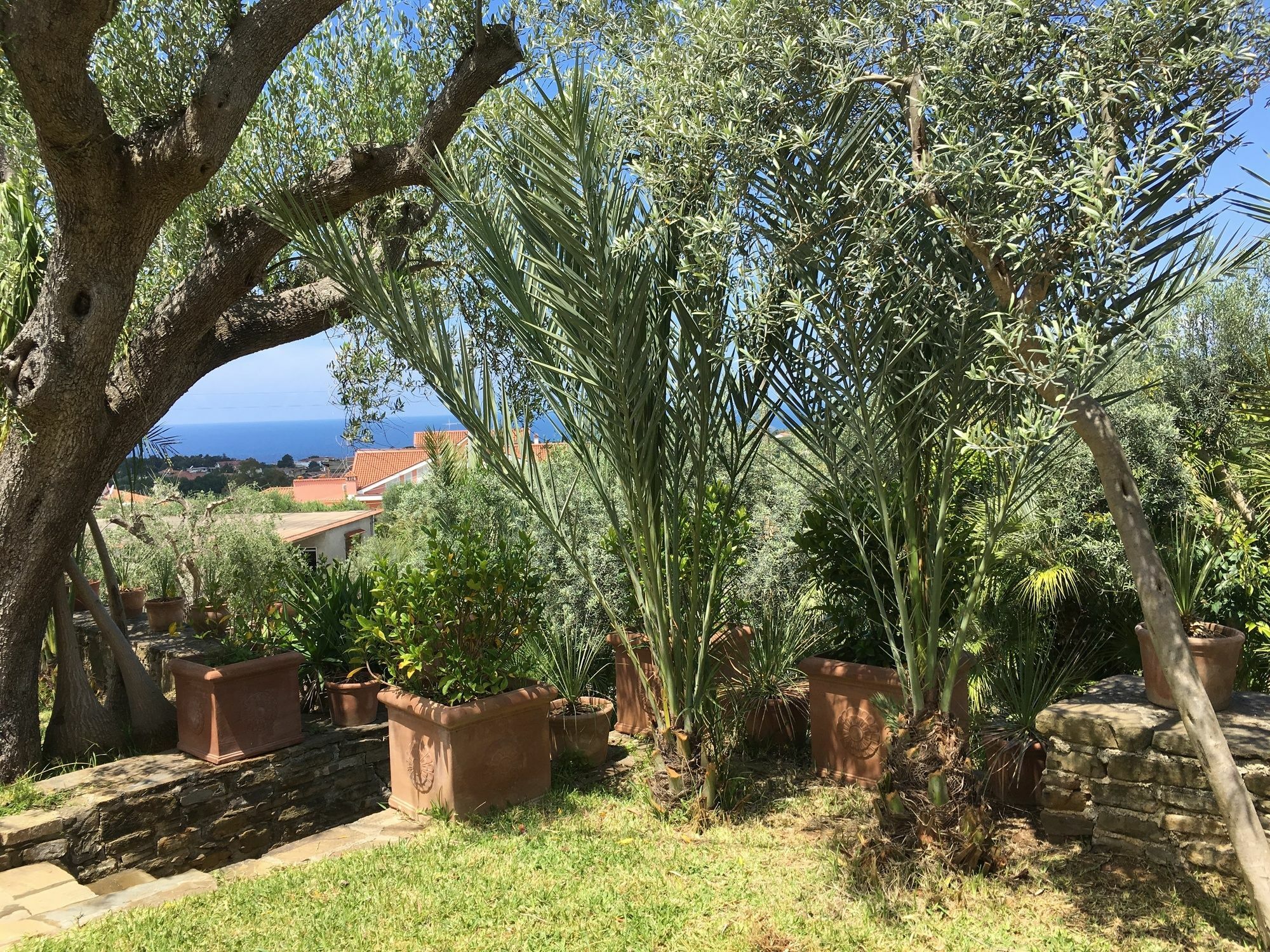 Residence Serrone Santa Maria di Castellabate Zewnętrze zdjęcie